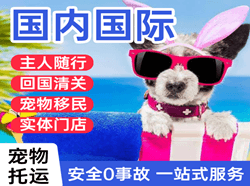 花果山机场货运国际宠物托运 【国